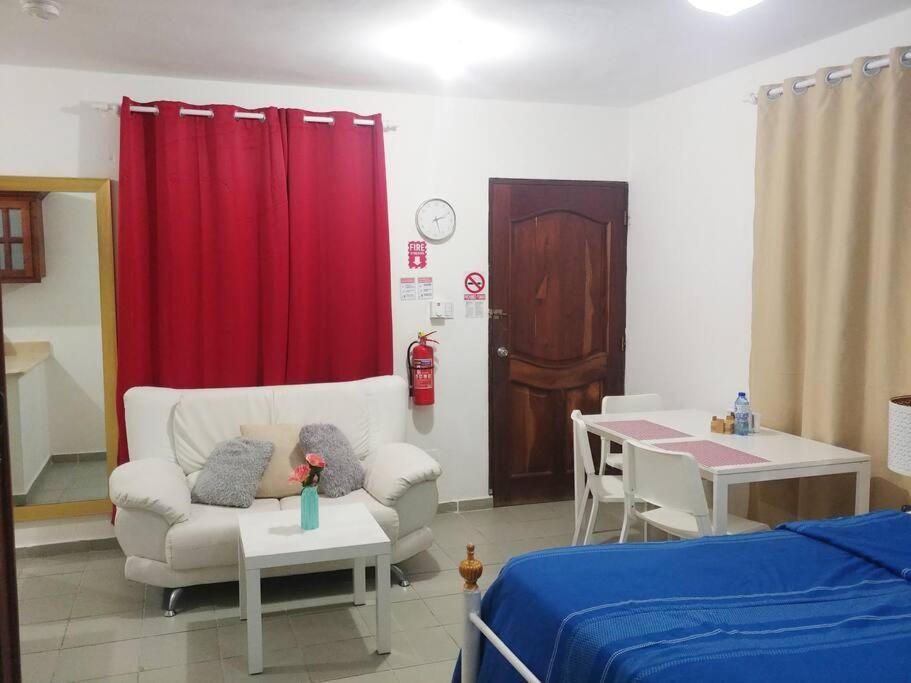 Dominican Suite 21, Amazing Apt/Studio 普拉塔港 外观 照片